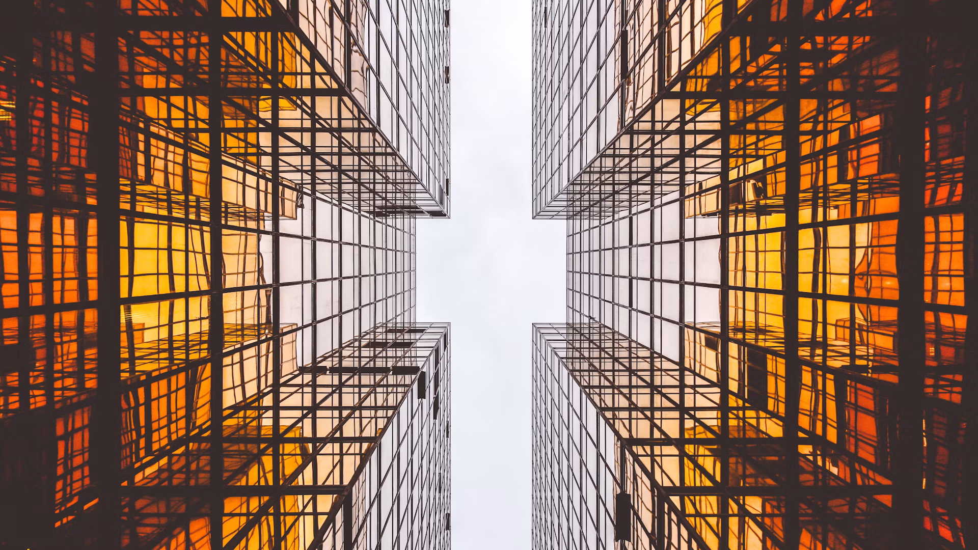 Office towers in bright daylight