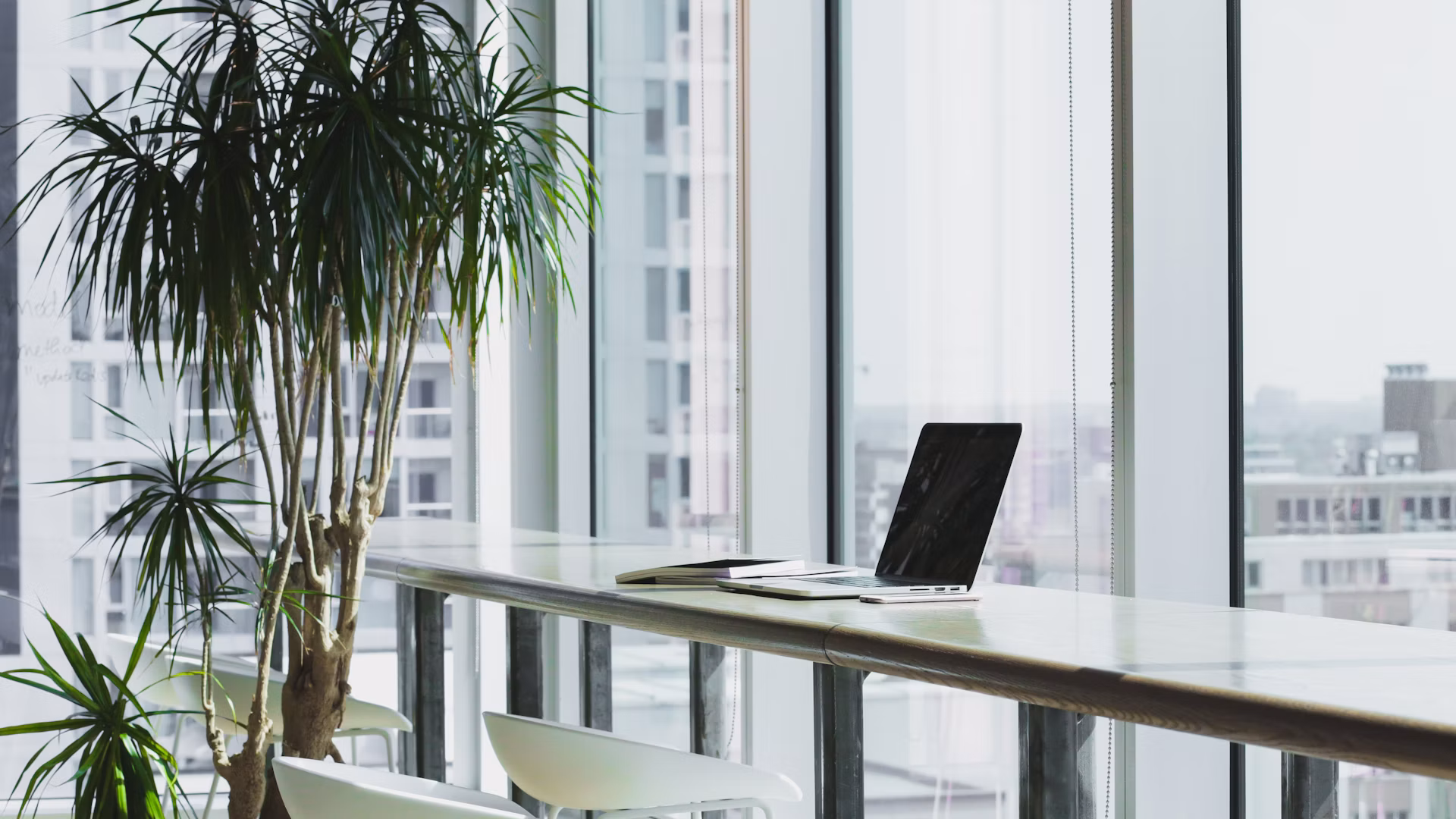 Bright office interior with morning light